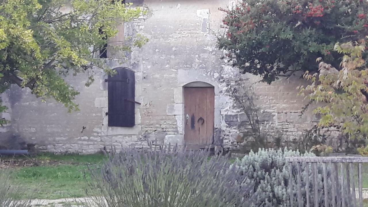 Le Dojo Du Plessis Bed and Breakfast Mareuil  Eksteriør billede